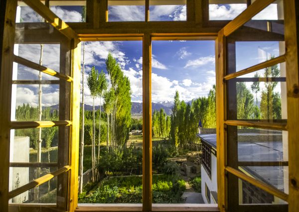 Cost of Wood Window Replacement in Hilliard